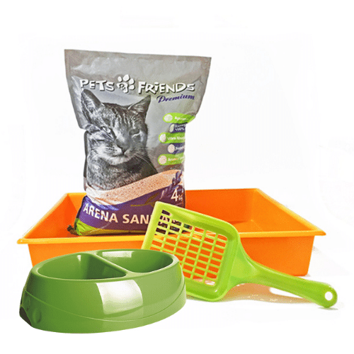 Pack Baby Gato