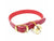 Collar cuero gato cascabel Nº 1