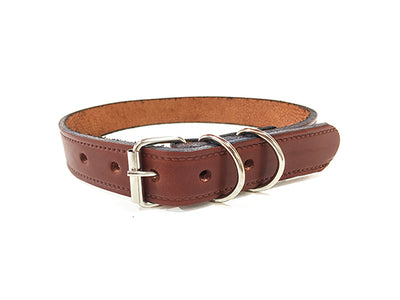Collar cuero (1 pulg)