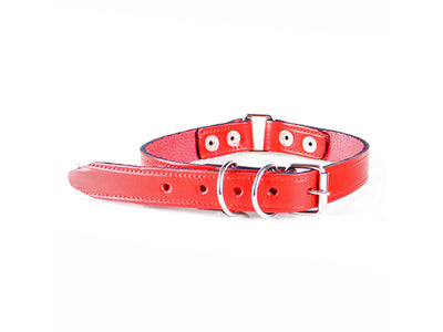 Collar partida de cuero (1 pulg)