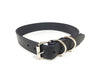 Collar cuero (1 1/4 pulg)