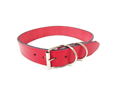 Collar cuero (1 1/2 pulg)