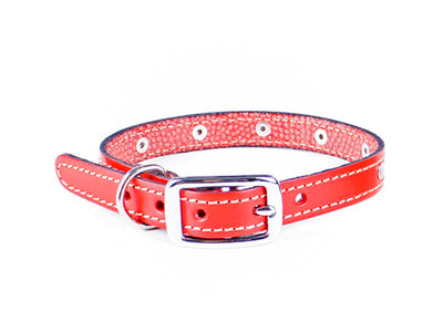 Collar costura (3/4)
