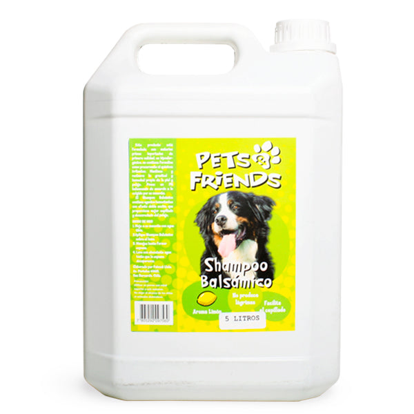 Shampoo Balsámico 5 Lt.